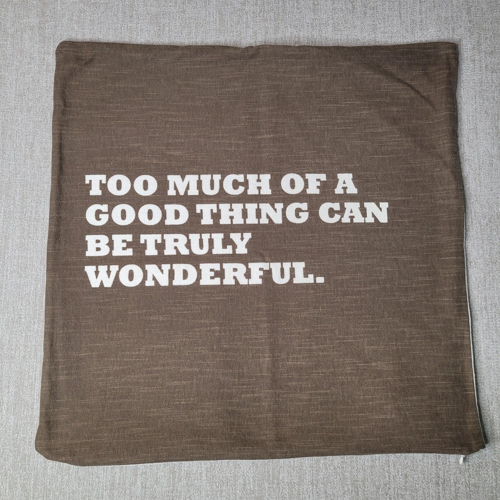 Pottery Barn Too Much of‎ a Good Thing Can Be Truly Wonderful Pillow Cover 20x20